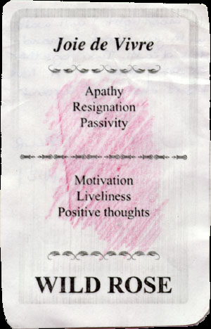 Destiny-card-1.jpg - 37508 Bytes